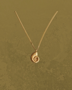 Shell